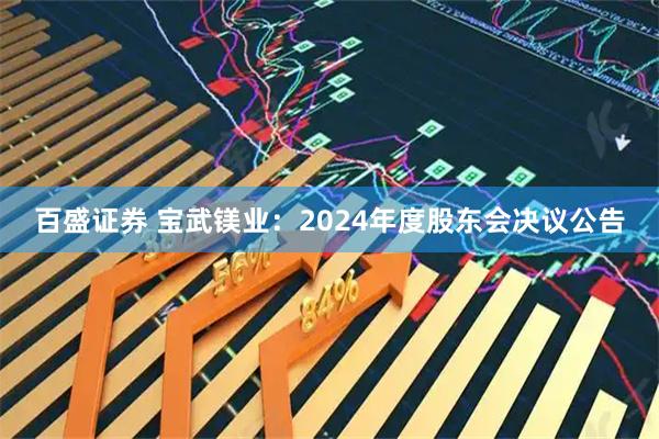 百盛证券 宝武镁业：2024年度股东会决议公告